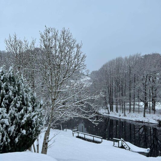 WhatsApp Image 2022-12-16 at 11.28.13